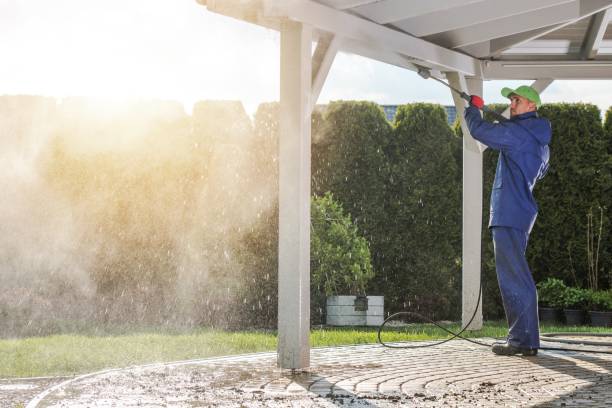 Best Soft Washing for Delicate Surfaces in Valrico, FL
